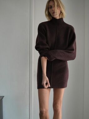 NWT Zara Brown Soft Knit Short Mini Dress